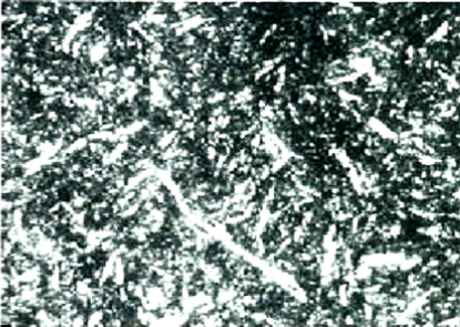 組大 Tempered Martensite조직 (Cementite석출 / 배율 650배)